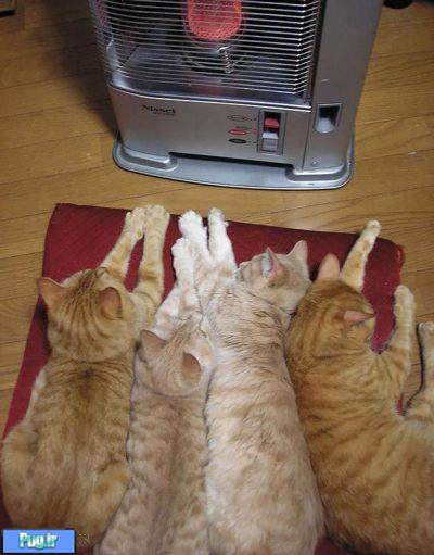 این هم یه راه گرم کردنه 