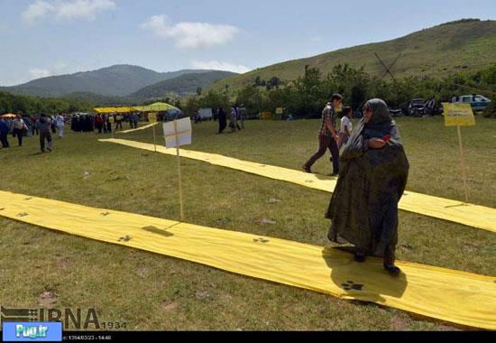 جشنواره حمایت از پلنگ ایرانی