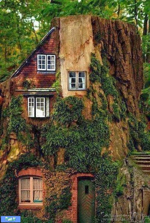 خانه هایی از جنس طبیعت