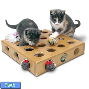 آیا داشتن اسباب بازی برای گربه ها ضروری است؟؟