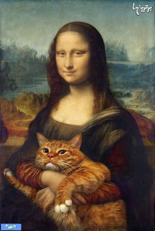 ماجرای یک گربه هنرمند