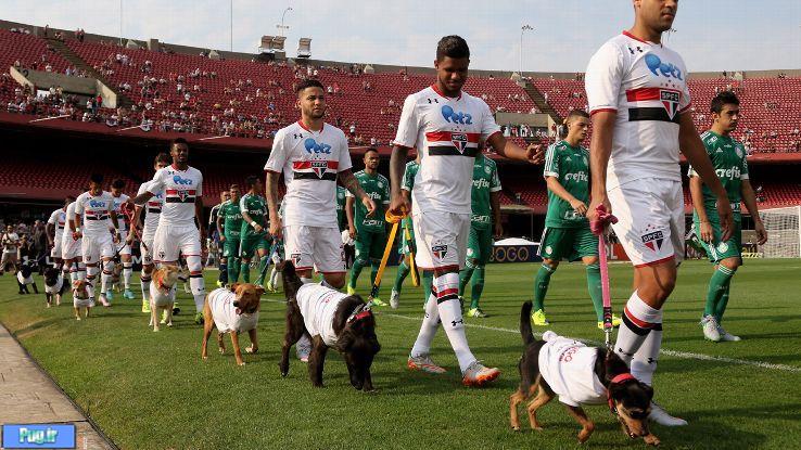 اقدام غیرمنتظره تیم فوتبال سائوپائولو در حمایت از حیوانات