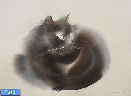 نقاشی های  با اب رنگ از گربه 
