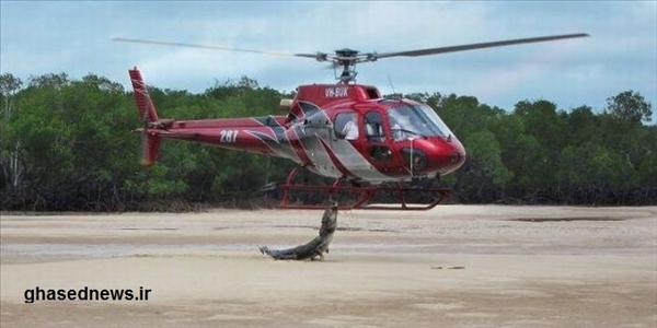 حمله یک تمساح عصبانی به هلی‌کوپتر / عکس