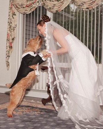 ازدواج یک زن آمریکایی با سگش / عکس
