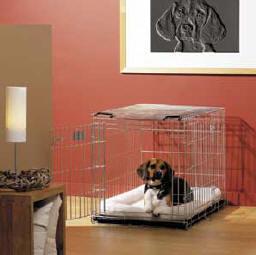 تعلیم  سگ برای ماندن در قفس
