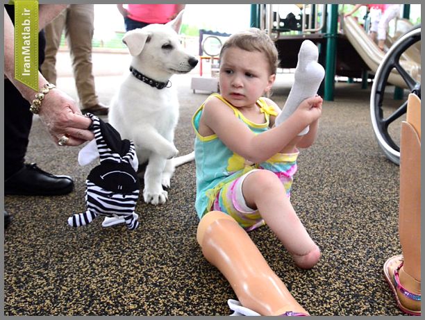 دوستی جالب دختر 3 ساله با سگ
