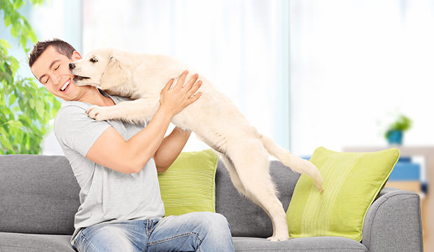 چه خطراتی در خانه متوجه سگ شما است؟