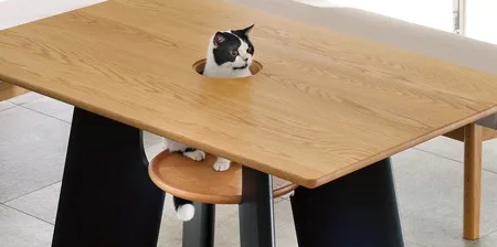 میز چوبی طراحی شده برای افراد و گربه های آنها