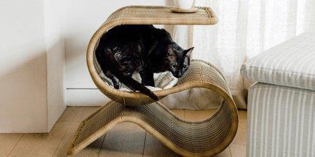 Cat Bed Snake Table: میز قهوه + تخت گربه»