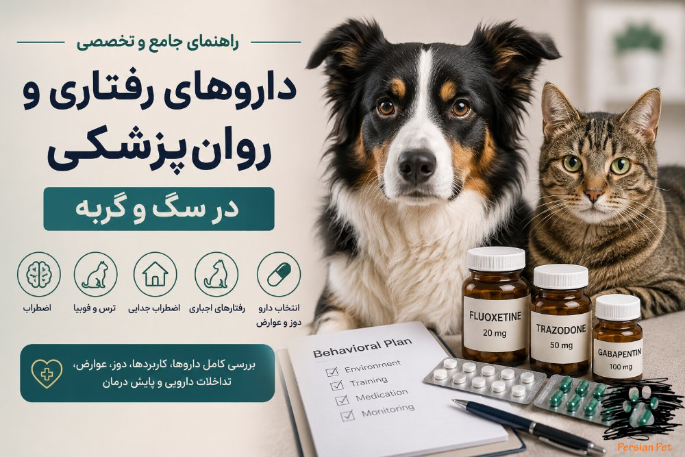 داروهای رفتاری در سگ و گربه؛ دوز، کاربرد و عوارض | PersianPet