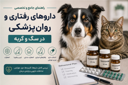 داروهای رفتاری در سگ و گربه؛ دوز، کاربرد و عوارض | PersianPet