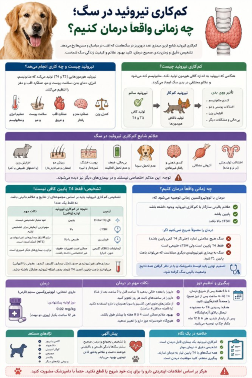 کم‌کاری تیروئید در سگ | چه زمانی واقعاً باید درمان را شروع کنیم؟