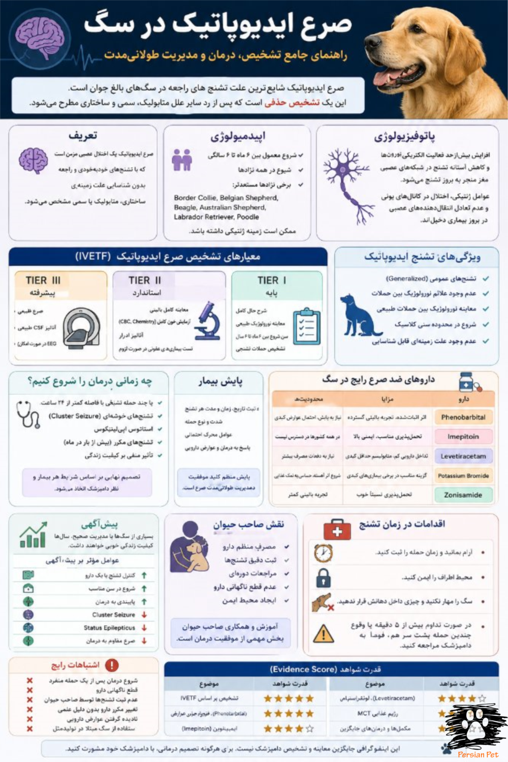صرع ایدیوپاتیک در سگ؛ تشخیص، درمان، داروهای ضدصرع و پیش‌آگهی | راهنمای جامع دامپزشکی