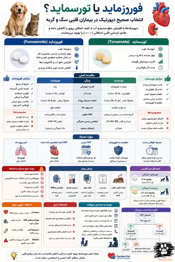 فوروزماید یا تورسماید در سگ و گربه | انتخاب صحیح دیورتیک در بیماران قلبی