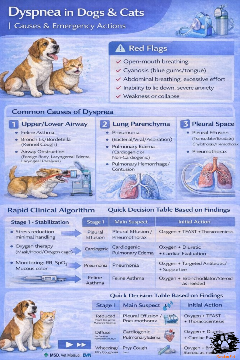 تنگی نفس در سگ و گربه | علل و اقدامات اورژانسی