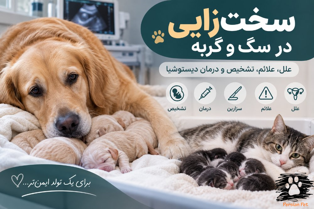 سخت‌زایی در سگ و گربه | علل، علائم، تشخیص و درمان دیستوشیا
