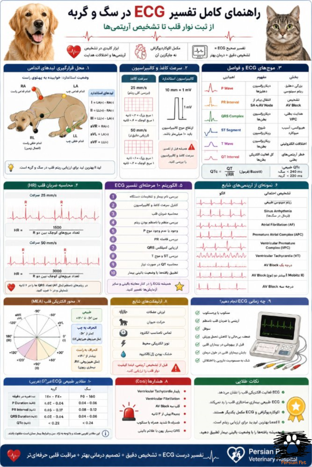 آموزش کامل تفسیر ECG در سگ و گربه | راهنمای دامپزشکان و دانشجویان دامپزشکی