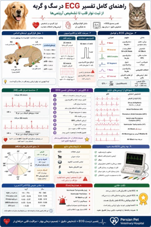 آموزش کامل تفسیر ECG در سگ و گربه | راهنمای دامپزشکان و دانشجویان دامپزشکی