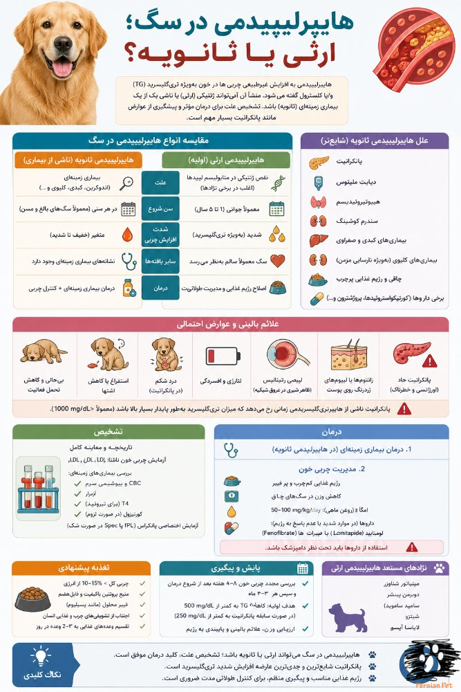 هیپرلیپیدمی در سگ | تفاوت نوع ارثی و ثانویه، تشخیص و درمان