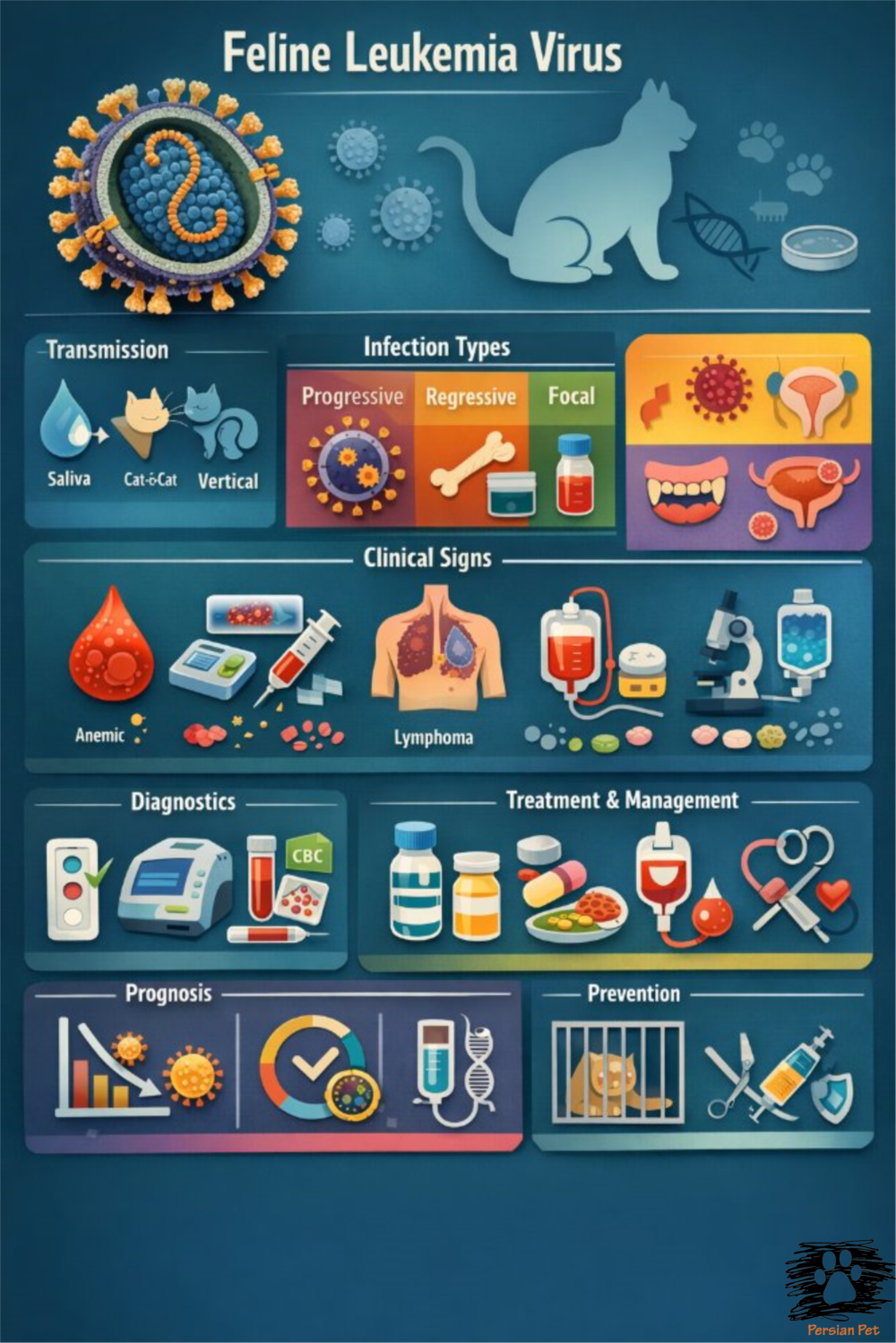 FELV در گربه‌ها؛ درمان، کنترل و مدیریت بالینی تخصصی