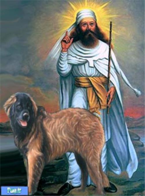 سگ در ایران باستان