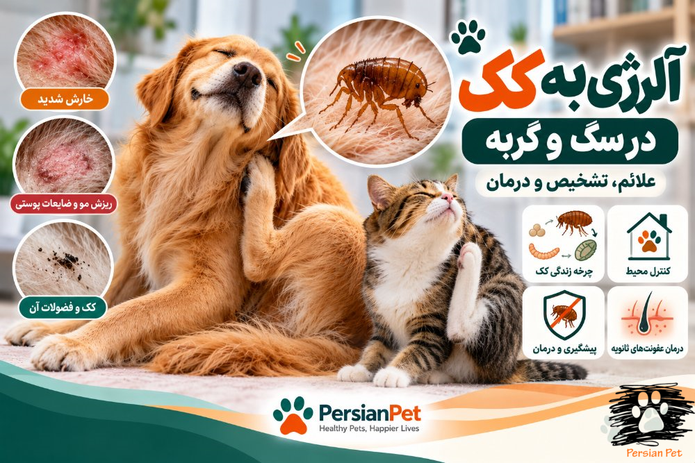 آلرژی به کک در سگ و گربه | علائم، تشخیص و درمان