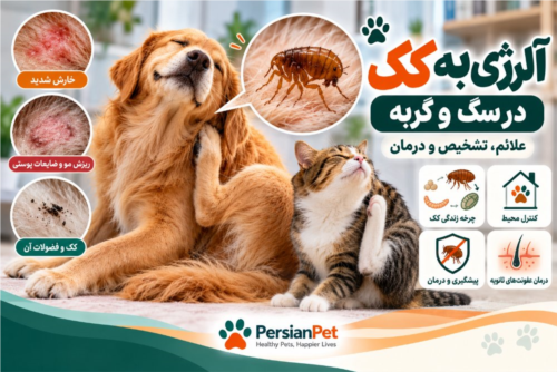 آلرژی به کک در سگ و گربه | علائم، تشخیص و درمان