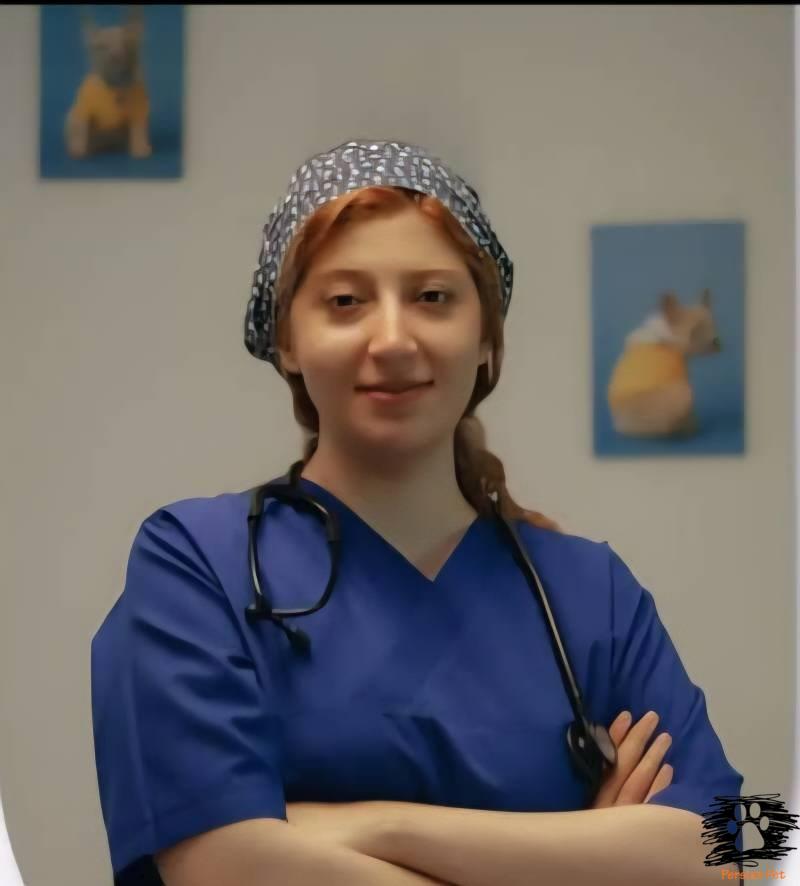 مدیریت اندوسکوپیک جسم خارجی گوارشی در گربه؛ گزارش کیس بیمارستان پرشین پت