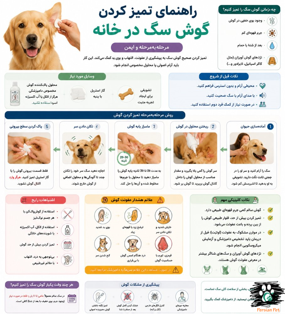 تمیز کردن گوش سگ در خانه | آموزش مرحله‌به‌مرحله + نکات ایمنی و پیشگیری از عفونت