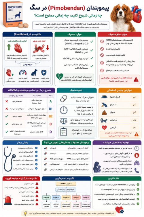 پیموبندان (Pimobendan) در سگ | موارد مصرف، منع مصرف و زمان شروع درمان