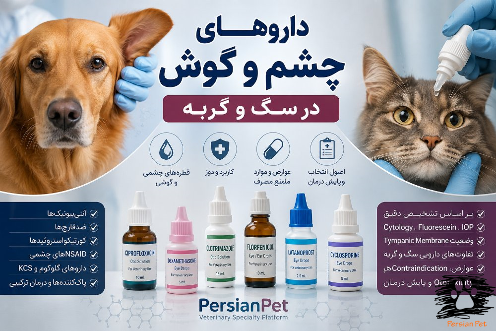داروهای چشم و گوش در سگ و گربه | دوز، کاربرد، عوارض و اصول درمان تخصصی