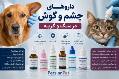 داروهای چشم و گوش در سگ و گربه | دوز، کاربرد، عوارض و اصول درمان تخصصی