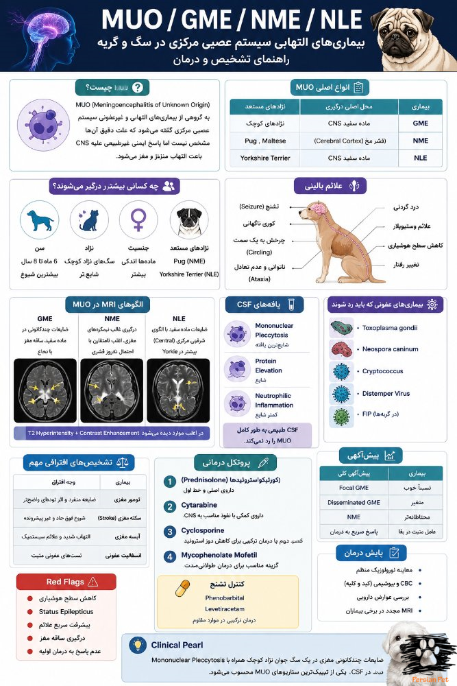 MUO، GME و NME در سگ و گربه | MRI، CSF و درمان