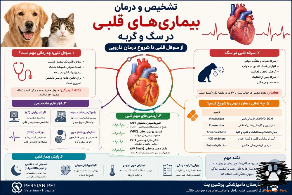 تشخیص و درمان بیماری‌های قلبی در سگ و گربه؛ از سوفل قلبی تا شروع درمان دارویی