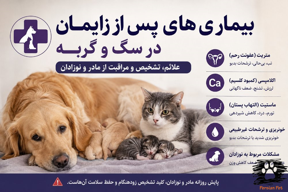 بیماری‌های پس از زایمان در سگ و گربه | متریت، اکلامپسی، ماستیت و علائم خطر مادر