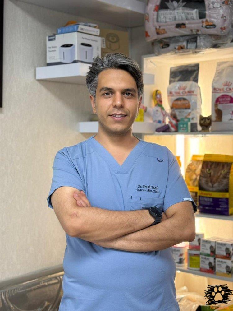 جایگذاری کانول داخل‌استخوانی (Intraosseous)