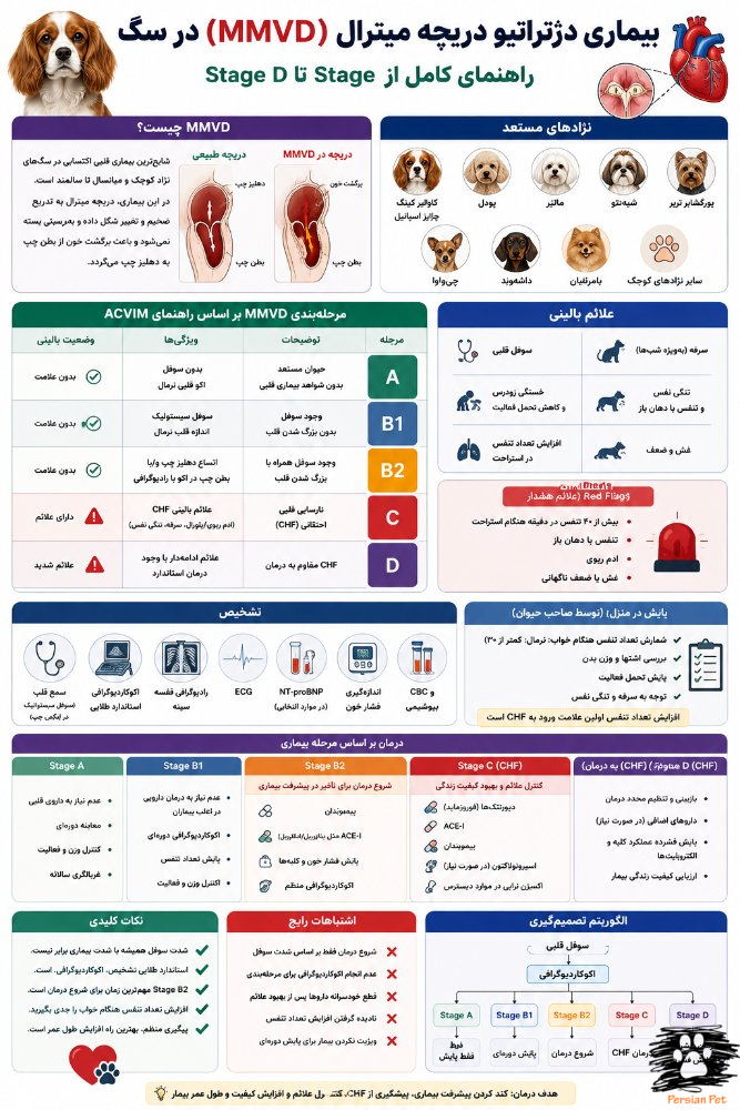 بیماری دژنراتیو دریچه میترال (MMVD) در سگ | راهنمای کامل Stage A تا D
