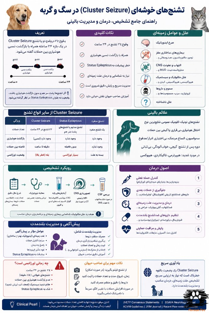 تشنج‌های خوشه‌ای (Cluster Seizure) در سگ و گربه | تشخیص، درمان، پیش‌آگهی و جدیدترین شواهد علمی