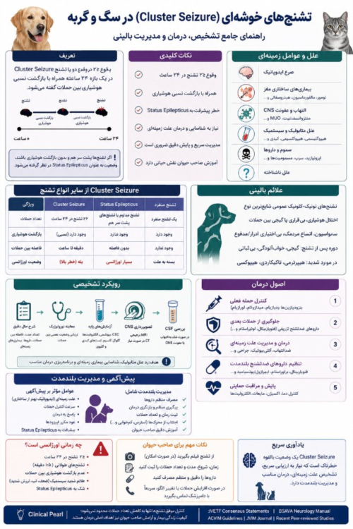تشنج‌های خوشه‌ای (Cluster Seizure) در سگ و گربه | تشخیص، درمان، پیش‌آگهی و جدیدترین شواهد علمی