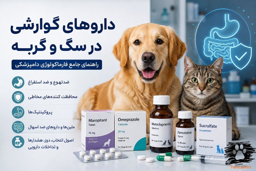 داروهای گوارشی در سگ و گربه | راهنمای جامع فارماکولوژی دامپزشکی