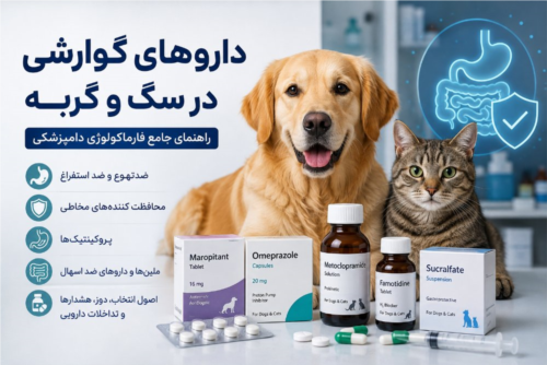 داروهای گوارشی در سگ و گربه | راهنمای جامع فارماکولوژی دامپزشکی