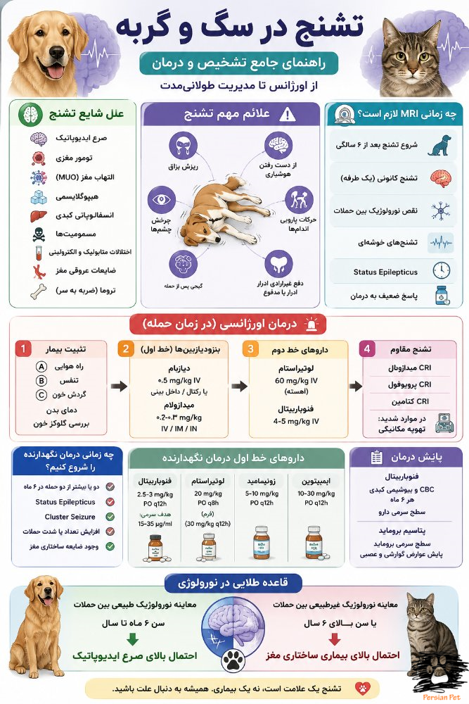 تشنج در سگ و گربه؛ تشخیص، درمان و رویکرد تخصصی نورولوژی دامپزشکی