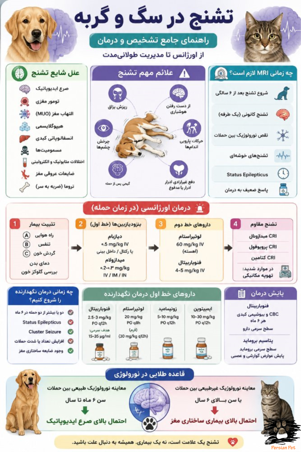 تشنج در سگ و گربه؛ تشخیص، درمان و رویکرد تخصصی نورولوژی دامپزشکی