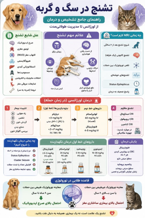 تشنج در سگ و گربه؛ تشخیص، درمان و رویکرد تخصصی نورولوژی دامپزشکی