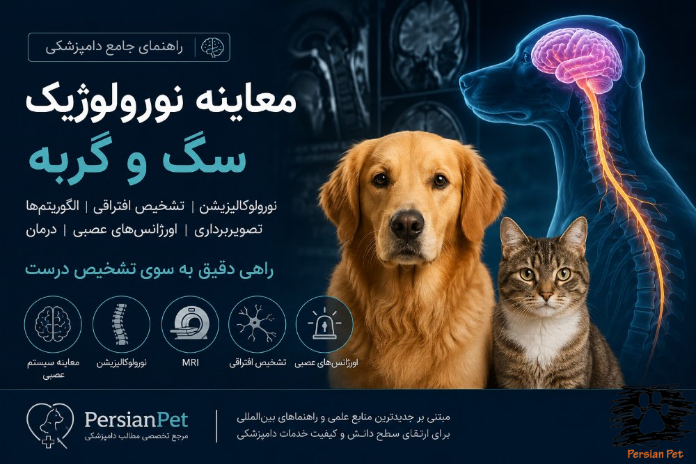 معاینه نورولوژیک سگ و گربه | راهنمای جامع نورولوکالیزیشن، تشخیص و درمان بیماری‌های عصبی | PersianPet
