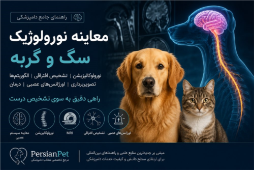 معاینه نورولوژیک سگ و گربه | راهنمای جامع نورولوکالیزیشن، تشخیص و درمان بیماری‌های عصبی | PersianPet