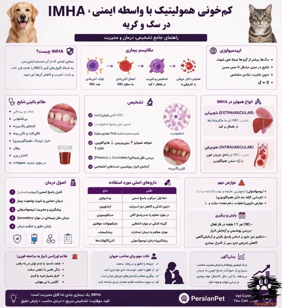 کم‌خونی همولیتیک با واسطه ایمنی (IMHA) در سگ و گربه؛ تشخیص، درمان و مدیریت تخصصی