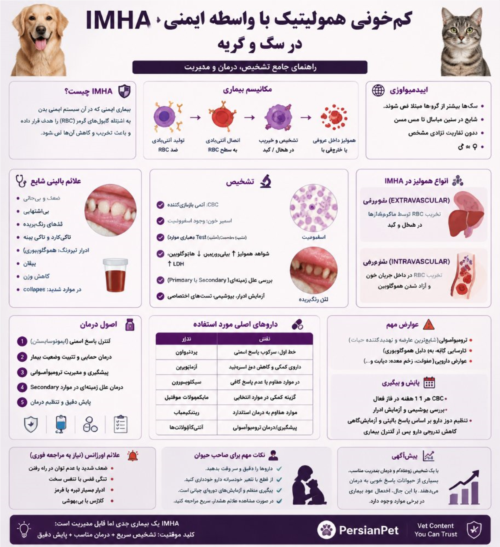 کم‌خونی همولیتیک با واسطه ایمنی (IMHA) در سگ و گربه؛ تشخیص، درمان و مدیریت تخصصی