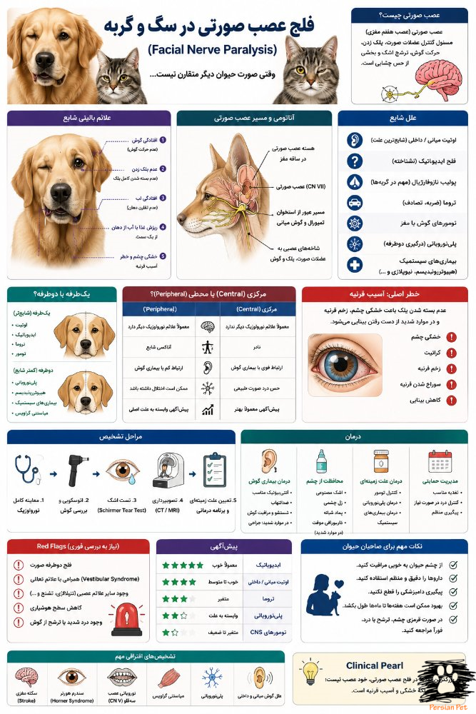 فلج عصب صورتی در سگ و گربه | علائم، اوتیت، درمان و پیش‌آگهی